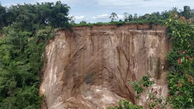 Tebing Ngarai Sianok Bukittinggi Longsor Usai Bencana Sumbar, Sawah Warga Terkikis dan Wisata Lesu!