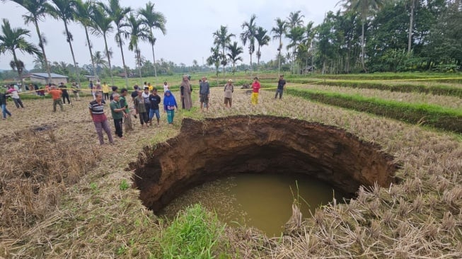 Fenomena Sinkhole Limapuluh Kota Perlu Kajian Tim Geolistrik, Pantau Kondisi di Bawah Permukaan!