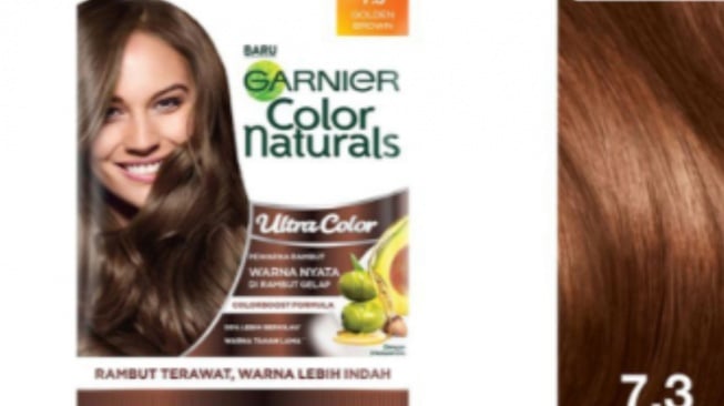 Garnier Hair Color Naturals 7.3 Golden Brown.