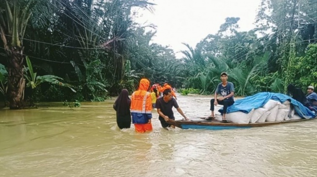 Banjir Ancam Produksi Padi Lebak, Puluhan Hektare Sawah Terancam Gagal Panen Total