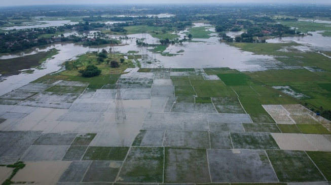Pemerintah Diminta Waspadai El Nino, Produksi Padi Terancam Turun