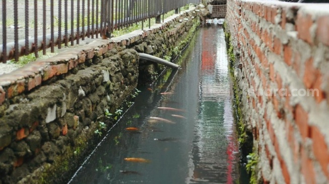 Seorang anak sedang melihat ke arah selokan kolam ikan, Selasa (20/1/2026). (Suara.com/Irene Anggraini)
