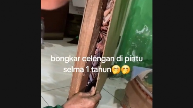 Panen Uang Rp7 Juta Hasil Nabung Setahun di Pintu: Kok Gak Dimakan Rayap?