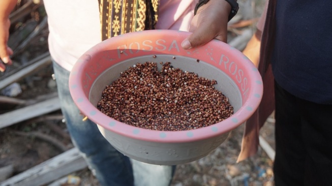 Sorgum, salah satu makanan khas di Kabupaten Sabu Raijua, Nusa Tenggara Timur.(Dokumentasi pribadi)