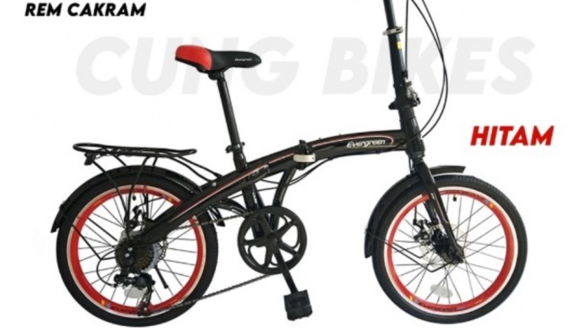 Evergreen 7 Speed 20 Inch
