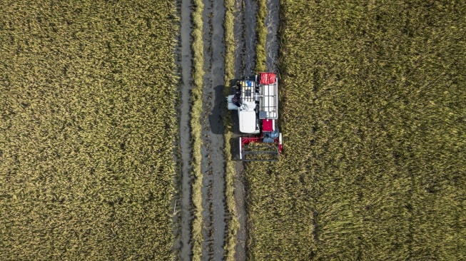 Margin Fee Bulog Naik Jadi 7 Persen, Rizal: Bisa Tambah Semangat dan Kinerja Perusahaan