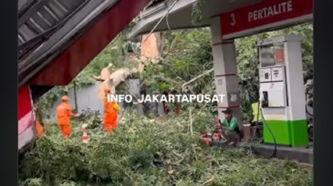 Pohon Tumbang Hantam SPBU Dekat Fly Over Matraman, Empat Orang Luka-Luka