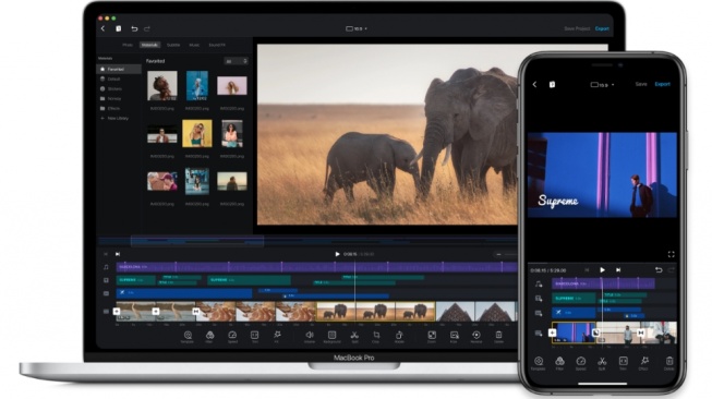 VN Video Editor. [Vlognow]