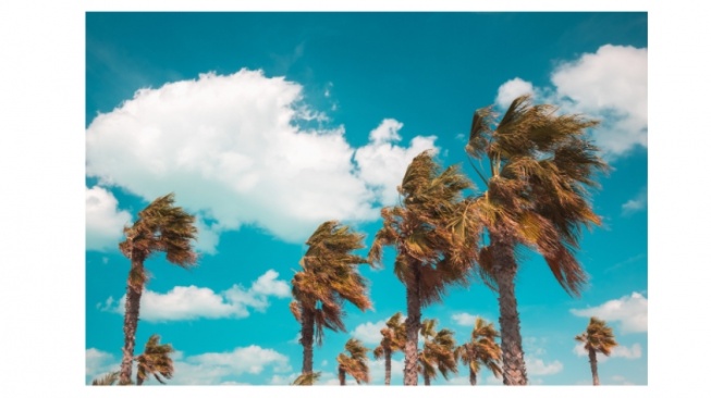 Apa Penyebab Angin Kencang di Sejumlah Daerah Hari Ini?