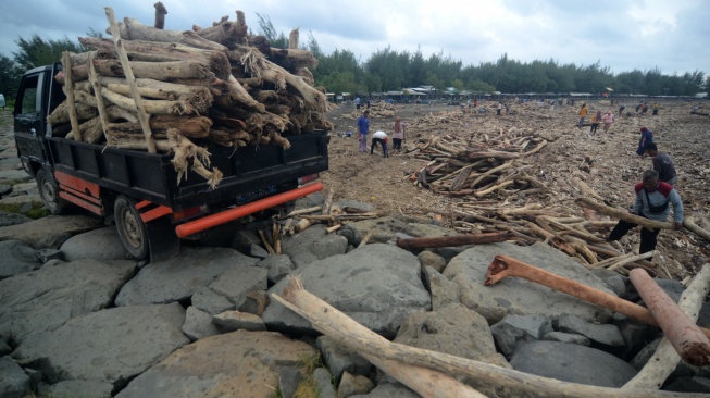 Sejumlah warga mengumpulkan kayu yang terdampar di Pantai Utara Desa Larangan, Kabupaten Tegal, Jawa Tengah, Senin (26/1/2026). [ANTARA FOTO/Oky Lukmansyah/foc]