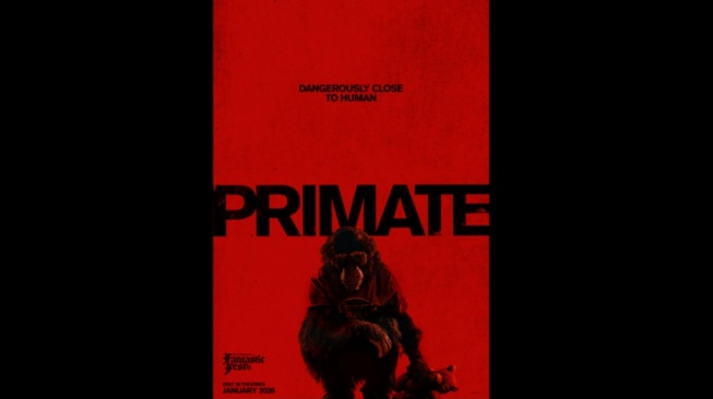 Review Film Primate (2025): Teror Mencekam Simpanse Ganas Tanpa Efek CGI