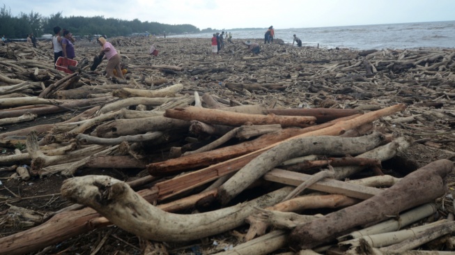 Sejumlah warga mengumpulkan kayu yang terdampar di Pantai Utara Desa Larangan, Kabupaten Tegal, Jawa Tengah, Senin (26/1/2026). [ANTARA FOTO/Oky Lukmansyah/foc]