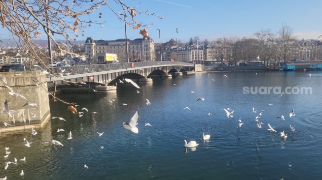 Kota Zurich, Swiss. (Suara.com/Novian)