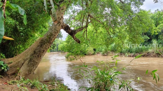 Kali Ciliwung. (Surara.com/Tsabita Aulia)