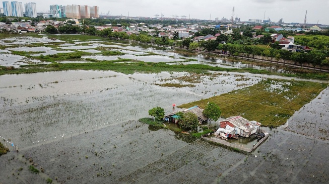 Foto udara sawah yang tergenang banjir di Rorotan, Jakarta, Rabu (28/1/2026). [ANTARA FOTO/Fakhri Hermansyah/bar]