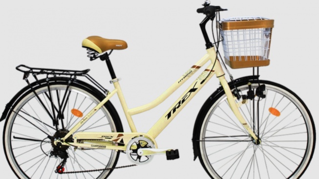 CTB 26 Trex Hybrid. [Shopee]