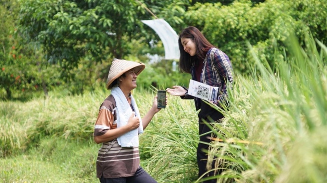 Sepanjang 2025, BRI Salurkan KUR Rp178 Triliun, Mayoritas ke Sektor Produksi