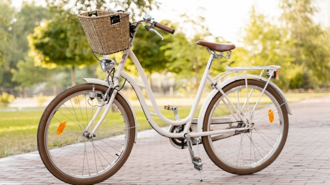 5 Rekomendasi Sepeda Keranjang, Nyaman dan Fungsional untuk Pemakaian Sehari-hari