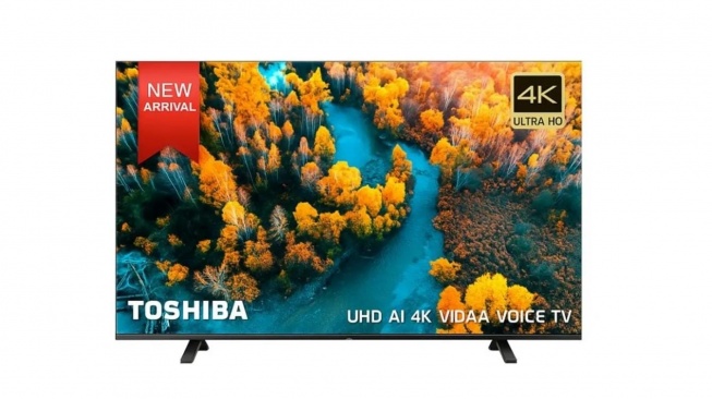 Toshiba 4K 55 inch 55E330MP