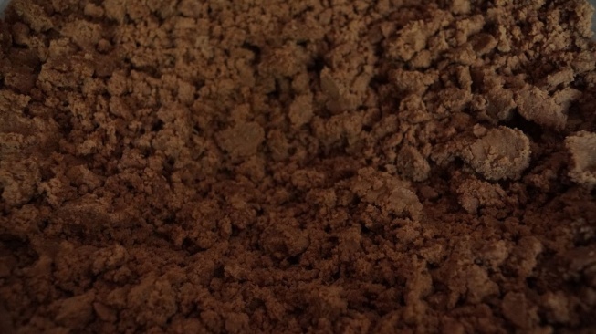 Elegi Gula Semut, Asa Baru Ekonomi Hijau di Jantung Sabu Raijua