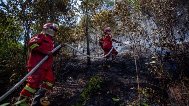 Anggota Manggala Agni Kementerian Lingkungan Hidup dan Kehutanan (KLHK) berusaha memadamkan kebakaran hutan di kawasan hutan lindung Taman Lestari di Batam, Kepulauan Riau, Senin (9/2/2026). [ANTARA FOTO/Teguh Prihatna/agr]