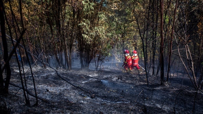 Anggota Manggala Agni Kementerian Lingkungan Hidup dan Kehutanan (KLHK) berusaha memadamkan kebakaran hutan di kawasan hutan lindung Taman Lestari di Batam, Kepulauan Riau, Senin (9/2/2026). [ANTARA FOTO/Teguh Prihatna/agr]