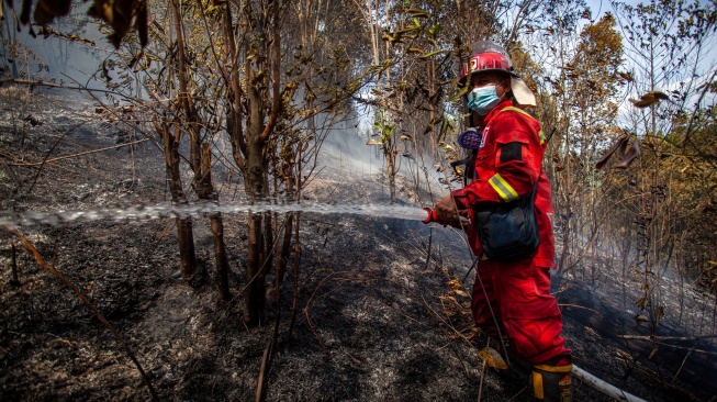 Anggota Manggala Agni Kementerian Lingkungan Hidup dan Kehutanan (KLHK) berusaha memadamkan kebakaran hutan di kawasan hutan lindung Taman Lestari di Batam, Kepulauan Riau, Senin (9/2/2026). [ANTARA FOTO/Teguh Prihatna/agr]