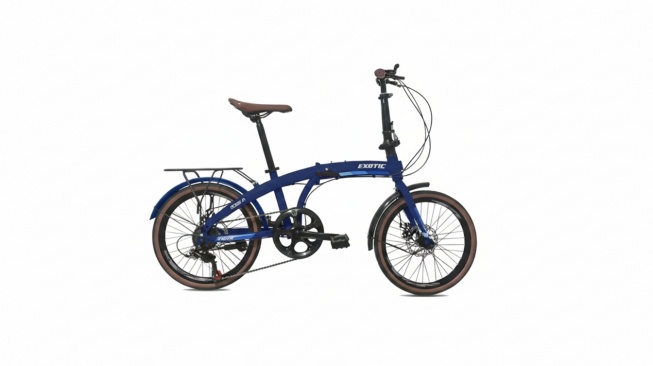 Exotic Folding Bike 2026 AR