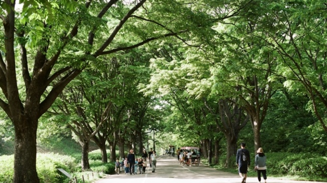 Ekoterapi: Pentingnya Ruang Hijau Bagi Kesehatan Mental Masyarakat