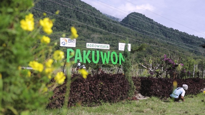 Cerita Inspiratif: Desa Pajambon Harmoni Tani dan Wisata