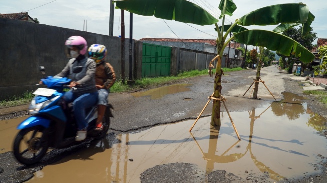 Aksi Unik Warga Tulungagung Tanam Pohon Pisang di Tengah Jalan Rusak
