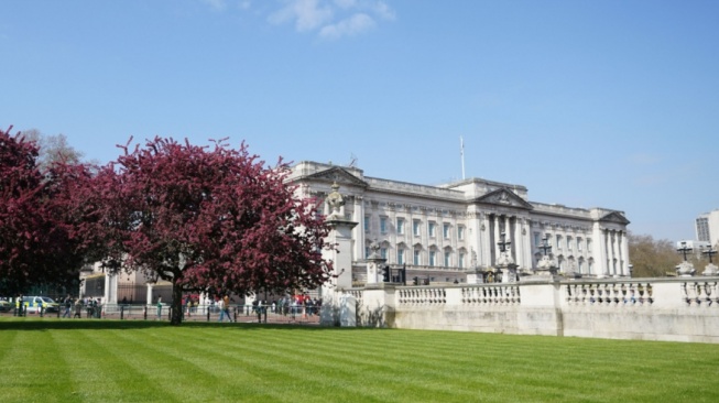 Terlibat Epstein Files? Kerajaan Inggris Buka Suara setelah Prince Andrew Ditangkap