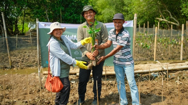 Melalui program AYO BERAKSI, Telkom menggelar aksi penanaman mangrove (Dok: Telkom)