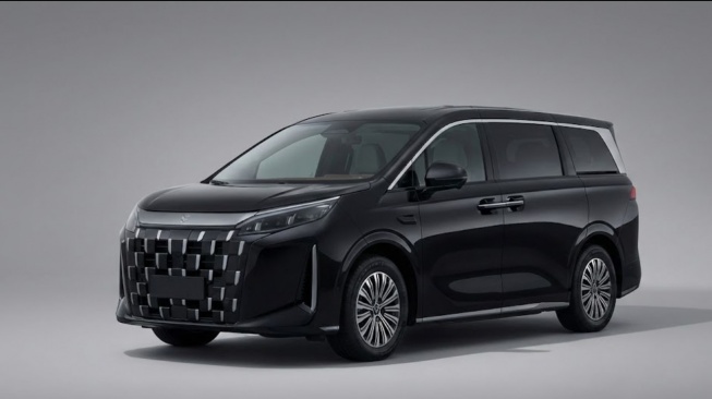 BYD Linghui M9 (BYD)