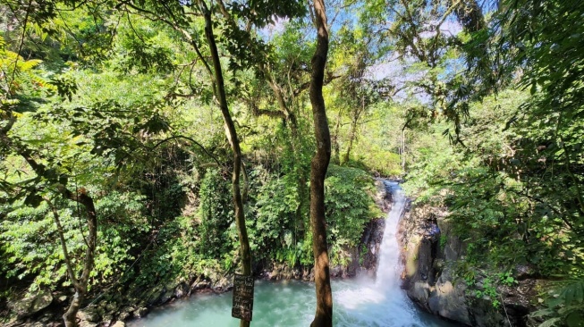 Air Terjun Kroya di Buleleng, Bali, akan menjadi lokasi dihelatnya ronde 1 dan 2 ajang olahraga ekstrem kelas dunia Red Bull Cliff Diving World Series yang akan membuka musim 2026 di Indonesia untuk kali pertama. [Dok: Red Bull]