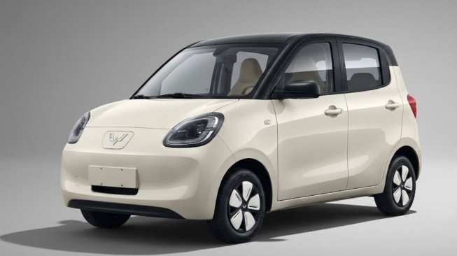 Wuling Hongguang Mini EV (CarnewsChina)
