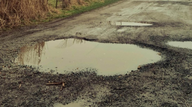 Pejabat Amnesia, Rakyat Jadi Tersangka: Drama Aspal yang Lebih Licin dari Belut