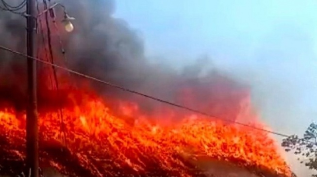 Paduppa Resort Bulukumba Terbakar, Ada Korban Jiwa