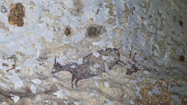 Lukisan seni cadas tertua di dunia berusia sekitar 44.000 tahun yang menggambarkan perburuan seekor anoa pada dinding Leang di Bulu Sipong 4, Pangkep, Sulawesi Selatan. Foto SIG.