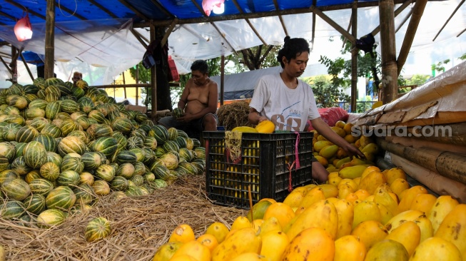 Pedagang menata buah timun suri dan Blewah yang dijual di Pasar Induk Kramat Jati, Jakarta, Jumat (6/2/2026). [Suara.com/Alfian Winanto]
