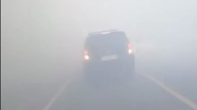 Karhutla: 10 Hektare Lahan Gambut Terbakar di Anjongan, Api Sempat Mendekati Bangunan Warga