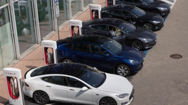 Anggaran Rp14 Miliar untuk 72 Mobil Listrik, Pemprov NTB Dikritik Lakukan Pemborosan