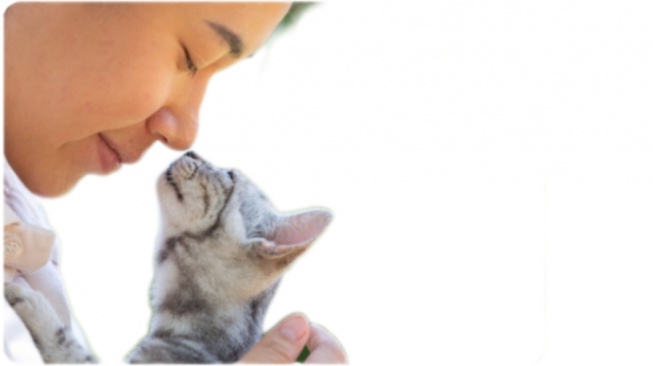 7 Tips Mudik Aman Bawa Hewan Peliharaan, Anti Stres saat Perjalanan