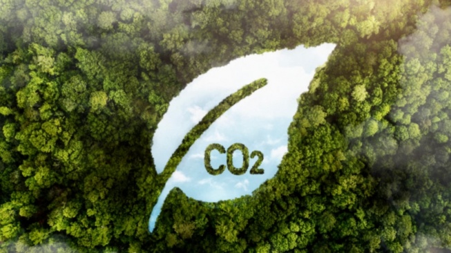 Ketimpangan Karbon: Mengapa Gaya Hidup Si Kaya Adalah Ancaman Terbesar Bumi?