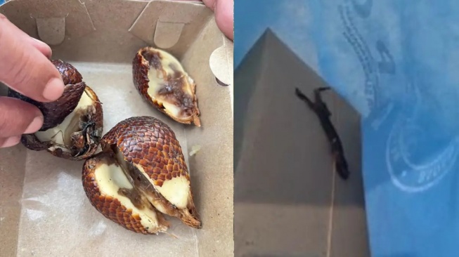 Buntut Bangkai Cicak di MBG Siswa: SPPG Citamiang Resmi Disegel Pusat