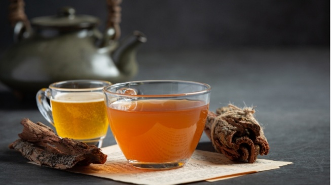 5 Minuman Alami Penghancur Lemak Setelah Makan Opor Ayam dan Rendang