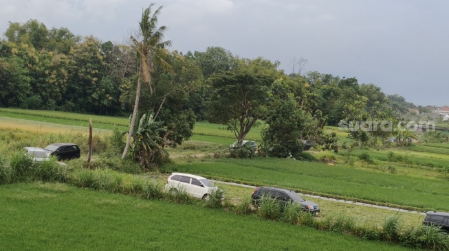Andalkan Google Maps, Pemudik Arus Balik Malah Nyasar ke Jalan Sawah Menuju Tol Jogja-Solo
