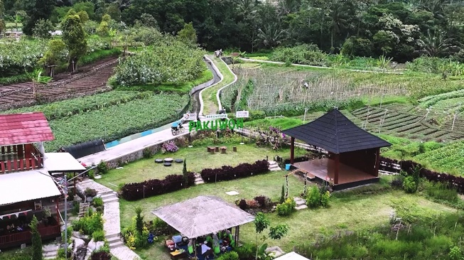 Desa Pajambon Bersinar: Dari Kebun Jambu hingga Agrowisata, Menjadi Inspirasi Desa BRILiaN Indonesia