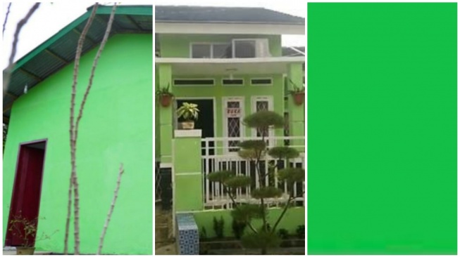 Ternyata Begini Sejarah Istilah Cat Hijau Miskin, padahal Nama Aslinya Keren