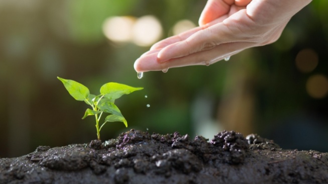 Green Jobs: Menimbang Masa Depan Ketenagakerjaan di Era Transisi Ekologis